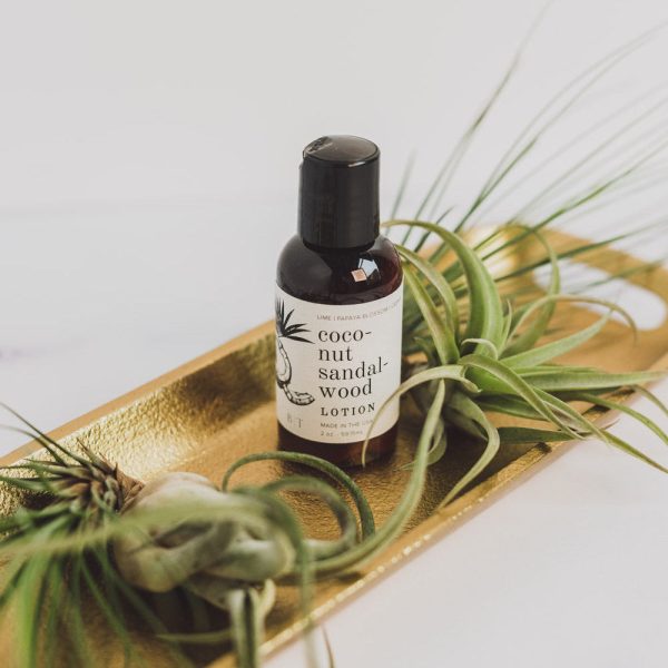 CoconutSandalwood Archive BTB 003