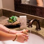 SaguaroCactus BarSoap BTB 009