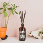 SaguaroCactus ReedDiffuser BTB 027